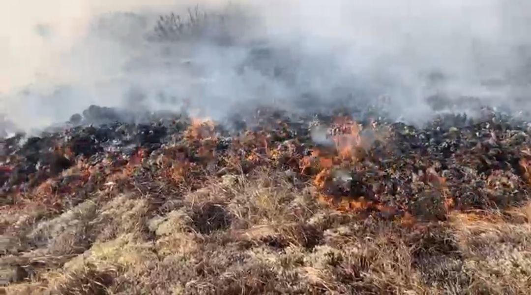 В связи с возгоранием торфяников и сухой растительности на острове Недоразумения Магаданская межрайонная природоохранная прокуратура взяла на контроль выполнение мероприятий по пожаротушению По предварительным данным хозяйственные постройки на территории турбазы острова огнем не повреждены Надзорным ведомством скоординирована работа Авиалесоохраны указано на необходимость усиления пожарных расчетов Ситуация находится на личном контроле прокурора области