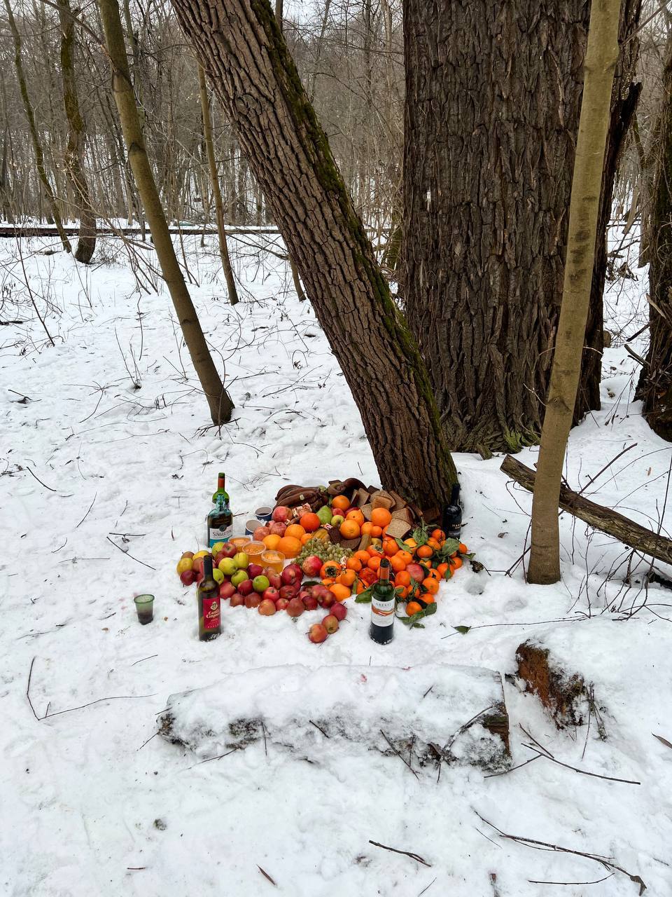 Жуткое зрелище обнаружили в лесу в Москве    Местные увидели в Матвеевском лесопарке трупы животных, которые были выложены по кругу, а рядом под деревом спиртное и фрукты. Очевидцы уже обратились в полицию.