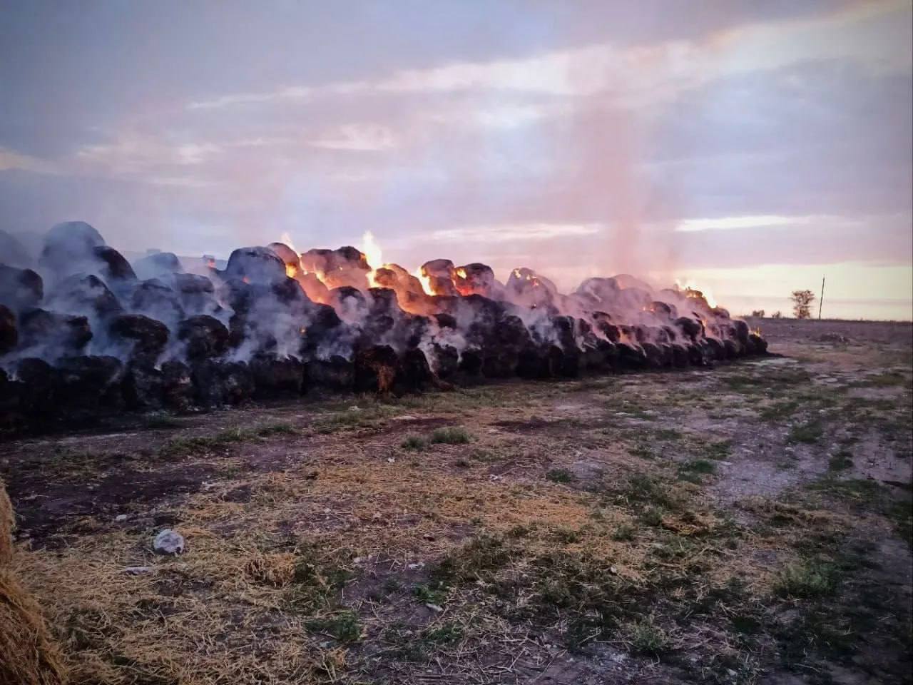 В Безенчукском районе этой ночью горели 200 тонн сена В 5:15 минут пламя было локализовано. Сейчас продолжается пролив территории, чтобы предотвратить появление новых очагов. : ГКУ СО "Центр по делам ГО, ПБ и ЧС" СоваИнфо ПОДПИСАТЬСЯ ПРИСЛАТЬ НОВОСТЬ