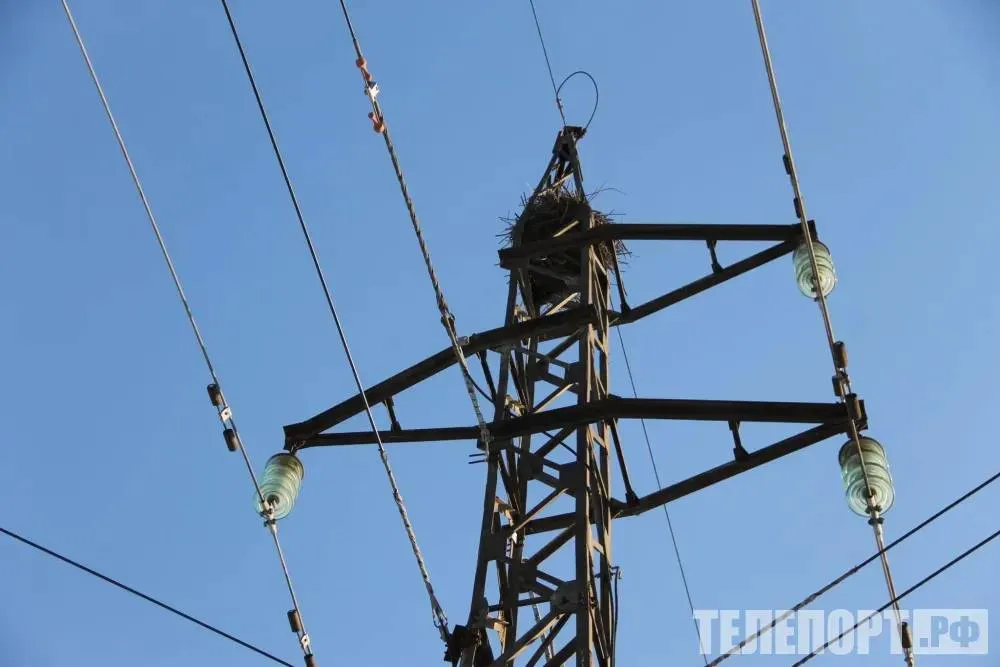 Ураган оставил без света часть Приамурья где возвращали электричество Сильный ветер прошелся по городам и селам Амурской области В течение суток энергетики Амурской области проводили аварийно восстановительные работы на электросетях в ряде городов а также в Селемджинском районе и Свободненском округе Специалисты устраняли последствия вызванные сильным ветром Он пришел в регион 10 мая Ураганный ветер который срывал крыши со зданий и валил деревья прошелся по нескольким муниципалитетам Как отметили в Амурских электрических сетях ЭС в праздничные дни действовал режим повышенной готовности поэтому все бригады были заранее подготовлены и оперативно направлены на восстановление электроснабжения в ночь с 10 на 11 мая Так около 9 часов вечера пропажу света зафиксировали в Белогорске и ближайшем районе В городе зафиксировали обрывы проводов из за воздействия стихии На ВЛ 10 кВ от подстанции Томь лежала сорванная крыша соседнего здания По линиям 0 4 кВ в течение последующих суток поступали заявки от местных жителей Люди сообщали об обрывах проводов ветках висящих на проводах и поваленных деревьях Все линии напряжением 10 кВ в городе восстановили до часу ночи а по заявкам жителей отработали 11 мая Отключения энергии из за порывов ветра были и в городе Свободный Свободненском округе и Селемджинском районе Так в поселке Февральск все ВЛ 10 кВ были включены в течение двух трех часов после осмотров а по линиям 0 4 кВ бригада из пяти человек работала 11 мая В селах Рогачевка Новоникольское Практичи и Сохатино 11 мая по линиям 0 4 кВ на аварийно восстановительные работы привлекли 15 сотрудников Амурских ЭС девять единиц спецтехники и бригадные автомобили Все бригады были обеспечены необходимыми материалами Специалисты провели работы оперативно сообщили в пресс службе Амурских электрических сетей ТЕЛЕПОРТ РФ здесь все об Амурской области  Мы в МАХ  Написать нам