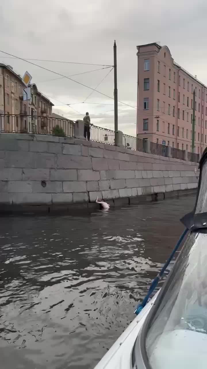 В Петербурге продолжаются попытки спасти кота, застрявшего в набережной Фонтанки