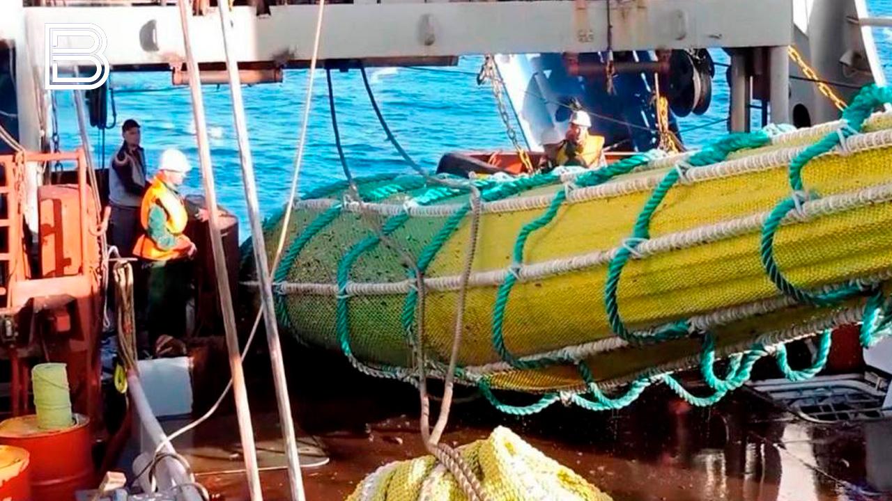 Улов рыбаков Северного бассейна с начала 2026 года составил 8 8 тыс тонн Это на 20 5 больше чем за этот период годом ранее сообщили в Росрыболовстве Ключевые виды морских биоресурсов треска и пикша Так добыча трески составила 3 9 тыс тонн а пикши 2 8 тыс тонн По данным отраслевой системы мониторинга улов всех российских рыбодобывающих компаний с начала года приблизился к цифре в 140 тыс тонн Лидерство сохраняют промысловики Дальневосточного бассейна Все самые важные новости Telegram MAX