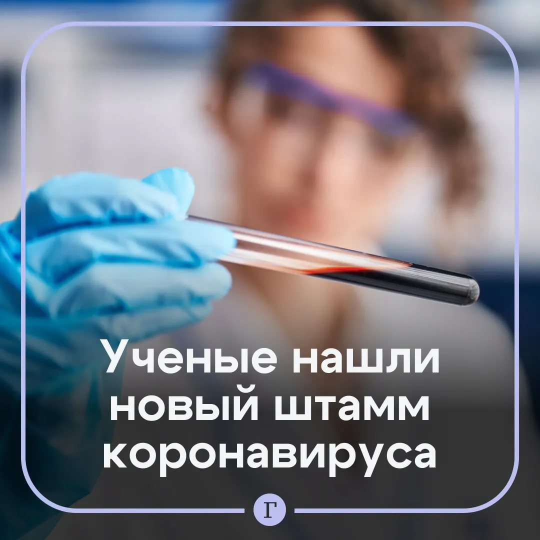 Новый штамм коронавируса нашли у летучих мышей Об этом отчиталось министерство цифровых технологий в экономике Таиланда В ведомстве уверяют что среди людей заражений пока не было обнаружено Исследования показали что новый штамм менее патогенен и передается хуже чем COVID 19 Существующие вакцины от ковида также должны помочь Новый штамм хантавирус что еще нас ждет