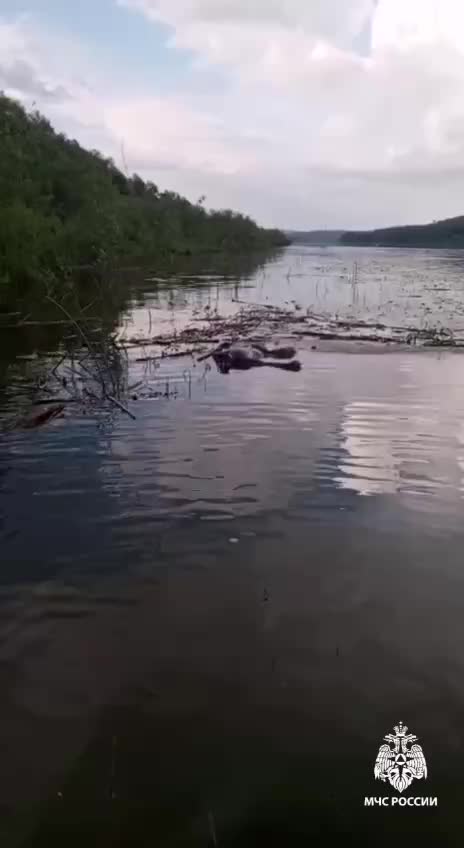 Три человека погибли на воде в Башкортостане за день