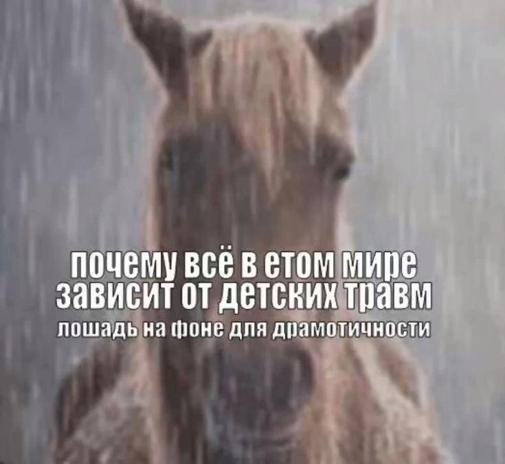 В сентябре в парках Казани пройдут бесплатные встречи с психологами клиники Инсайт Они расскажут о прокрастинации сопротивлении в психотерапии ностальгии по прошлому и механизмах скрытого насилия в отношениях Делимся расписанием в новости inde io news raspisanie otkrytye vstrechi s psihologami v parkah kazani