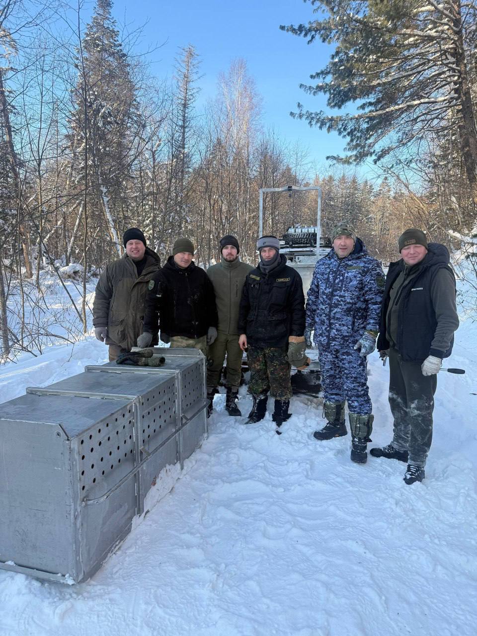 Тигра и медведя отловили в Хабаровском крае Сигналы о выходе диких животных к людям на новогодних каникулах поступали 29 раз от жителей Нанайского Комсомольского Вяземского Бикинского и имени Лазо районов Охотоведы уже отловили тигра и медведя Прислать новость yaroslav egorovich Подписывайся на нас в MAX