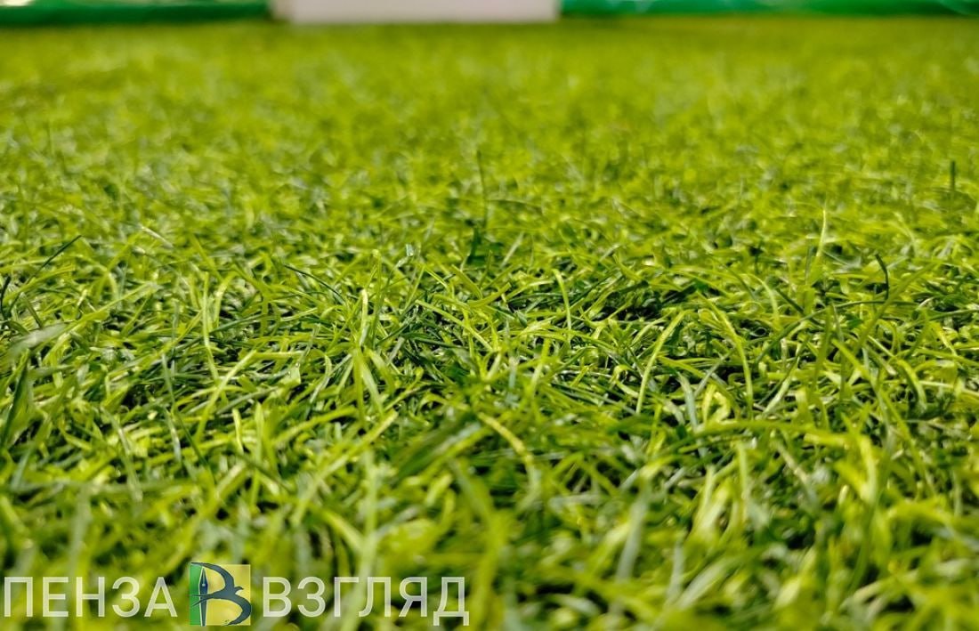 В Пензе в 2025 году сумма штрафов за парковку на газонах превысила 2 млн рублей Глава города Олег Денисов провел рабочее совещание по вопросам благоустройства Он потребовал от районных администраций ужесточить контроль за нарушителями правил парковки Особое внимание мэр уделил проблеме стоянки автомобилей на газонах и детских площадках С начала года сотрудники администрации составили более 8 тысяч протоколов за парковку на газонах Сумма собранных штрафов превысила 2 миллиона рублей Однако многие автомобилисты продолжают нарушать правила разрушая зеленые зоны и загрязняя дороги грязью Денисов поручил усилить борьбу с нарушителями Управлению развития предпринимательства поручили проверить нестационарные торговые объекты Владельцы киосков и павильонов не должны использовать муниципальные территории для стоянки личного транспорта или разгрузки товаров Нарушителей обяжут восстановить поврежденное благоустройство сообщает пресс служба администрации города   Подписаться на Пенза Взгляд в ТГ Подписаться на Пенза Взгляд в MAX