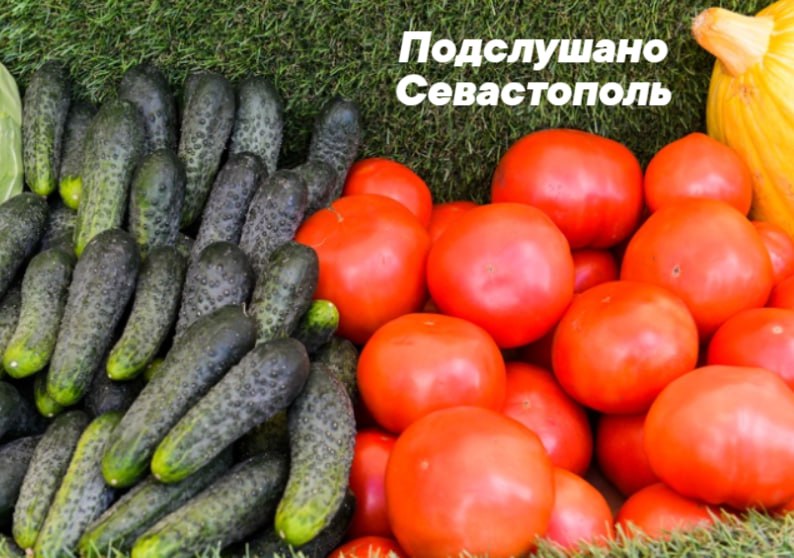 В Севастополе снизились цены на помидоры, картофель, лук, морковь и свеклу Таковы результаты мониторинга за прошлую неделю - пишет ForPost. Немного выросли цены на: — Свинину кроме бескостного мяса — Курицу — Свежие огурцы Подслушано Севастополь