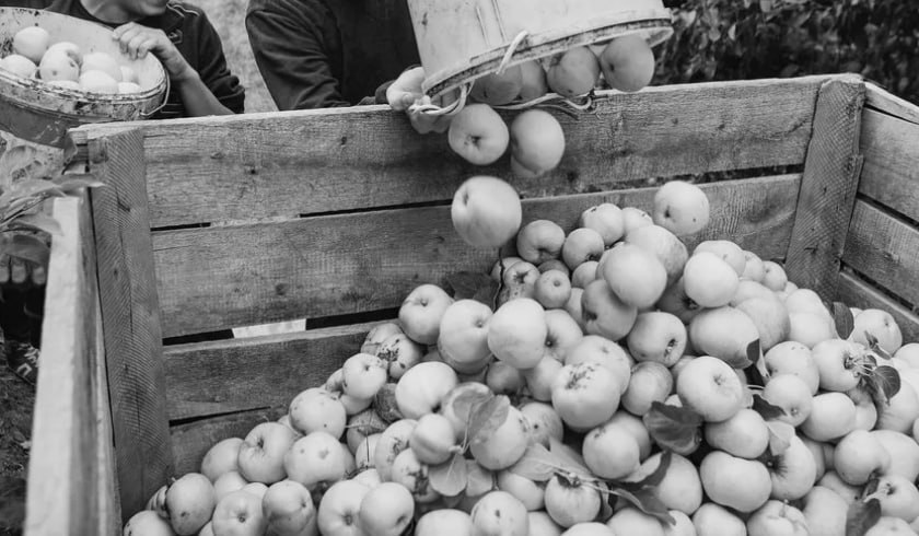 27 августа в истории Крымского района День российского кино 27 августа 1968 года На втором отделении винсовхоза Саук Дере в посёлке Виноградный открылся Первый трёхдневный районный слёт комсомольского актива посвящённый 50 летию ВЛКСМ 27 августа 1974 года Подводятся итоги пятой трудовой четверти в составе ученических бригад и звеньев лагерей труда и отдыха участвовали в производительном труде 3 619 учащихся кроме тех кто работал на полях вместе со своими родителями Школьники пропололи более 800 гектаров посевов убрали горошек с 95 гектаров собрали более 200 тонн фруктов и ягод На томатных плантациях района отличились учащиеся школы 31 Люба Чаус Галина Сухороченко Тоня Чаус Таня Бордунова собравшие от 17 500 до 13 500 килограммов спелых помидор десятиклассница средней школы 41 Катя Самарцева и девятиклассница СШ 56 Инна Рябцева собрали по 10 000 килограммов томатов Примером для всех стала ученица 3 го класса средней школы села Экономического Вера Задоркина собиравшая в день по 500 600 килограммов помидоров 27 августа 1976 года Впервые в истории Крымского консервного комбината его коллектив выработал за смену 3 540 000 учётных банок томатной продукции Крымскийрайон деньвисториирайона