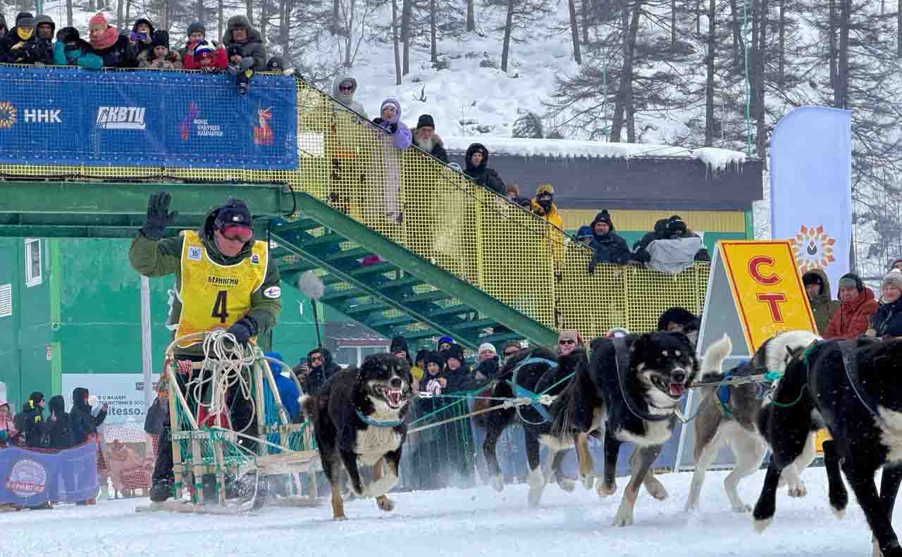 Названы имена участников Берингии 2026 На старт большой гонки выйдут 14 каюров В 2026 году для участия в гонке на собачьих упряжках Берингия заявились как начинающие так и опытные каюры Есть среди них и многократные победители и призеры предыдущих гонок рассказали ИА Камчатское время в Камчатском выставочно туристическом центре Подробности по ссылке kamtime ru article 5aca9ee6 4313 4fb2 878a 58bba7fa97c1 Предложка Макс
