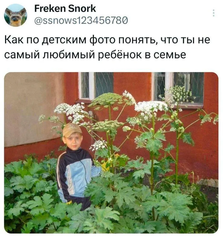 26 апреля в Русско Немецкой Швейцарии пройдет субботник от проекта СтопБорщевик Экоактивисты расскажут чем опасно растение и помогут выкопать его молодую поросль Также участники встречи соберут мусор Весь инвентарь выдадут на месте Надевайте закрытую рабочую одежду   inde io news v russko nemeczkoj shvejczarii projdet subbotnik s unichtozheniem borshhevika