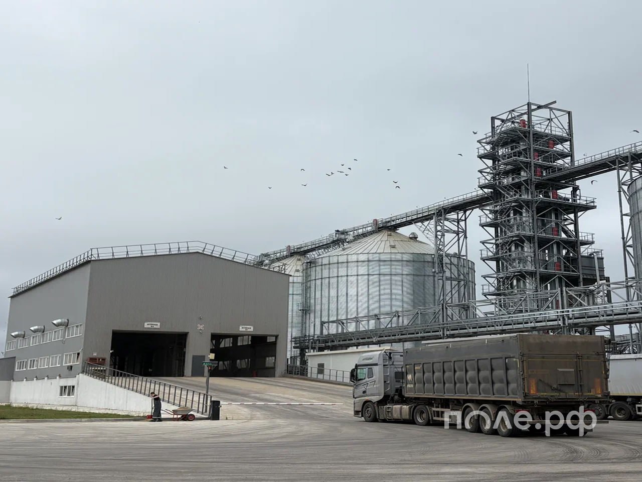 Аграрии РФ увеличили реализацию зерновых и зернобобовых в январе 2026 года на 3 до порядка 3 8 млн тонн а масличных на 14 3 до 989 7 тыс тонн Отгрузки по культурам Пшеница 2 5 млн тонн на уровне января 2025 года Кукуруза на зерно 555 тыс тонн 6 1 Подсолнечник 529 8 тыс тонн 21 5 Картофель 213 1 тыс тонн на уровне января 2025 года Сахарная свекла 2 млн тонн 115 8 Подробнее Напомним что реализовать урожай пшеницы ячменя кукурузы подсолнечника и других культур можно на платформе Поле РФ Разместить свое предложение и посмотреть другие можно по ссылке Подписывайтесь на нас в Telegram в MAX Оставляйте бусты