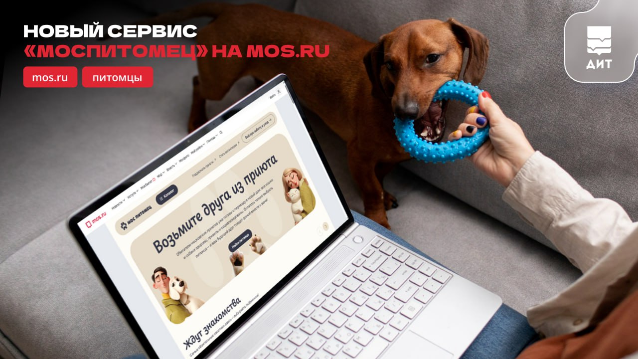 История дружбы может начаться с нескольких кликов теперь москвичи могут выбрать кошку или собаку из городского приюта прямо на mos ru Новый сервис Моспитомец помогает найти питомца сразу по нескольким характеристикам а затем записаться на встречу с ним онлайн Найти пушистого друга можно в каталоге сервиса где собрана информация о животных из 13 приютов а удобные функции облегчат выбор фильтр по возрасту размеру полу длине шерсти тестирование по результатам которого система сама подберёт вашего питомца Все животные в приютах проходят ветеринарное обследование привиты и социализированы чтобы знакомство с новым домом прошло легко и безопасно Если вы нашли того кто тронул сердце   оставляйте заявку на встречу прямо на сайте   Подписывайтесь на канал Мэра Москвы и ДИТ Технологии Москвы в MAХ