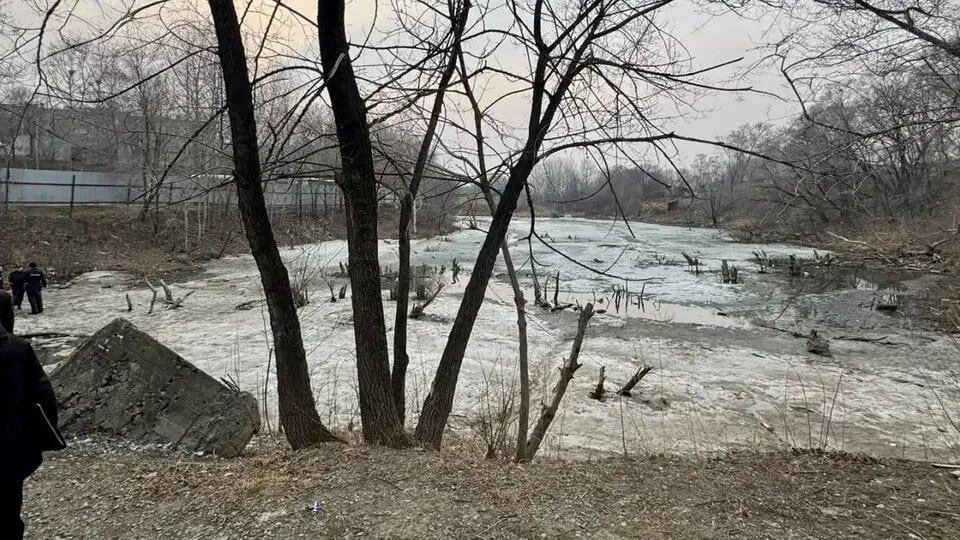 Восьмилетний мальчик провалился под лед и утонул в одном из водоемов Хабаровска Ребенок оказался на льду на Армейской улице без присмотра взрослых Его заметил очевидец и попытался помочь но было слишком поздно мальчик ушел под лед Возбуждено уголовное дело по факту причинения смерти по неосторожности сообщили в региональном Следкоме РЕН ТВ ждет вас в MAX