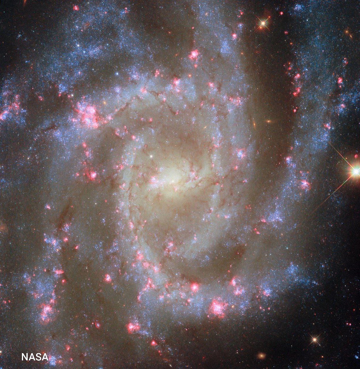 Телескоп Хаббл заснял спиральную галактику NGC 2835 в созвездии Гидры и 35 миллионах световых лет от Земли На фото видно рукава галактики которые усеяны молодыми голубыми звёздами вращающимися вокруг овального центра где находятся более старые звёзды Ну и это просто красиво Наша галактика Млечный Путь кстати также является спиральной галактикой причем с перемычкой в центре Фонтанка познавательная t me spb danger