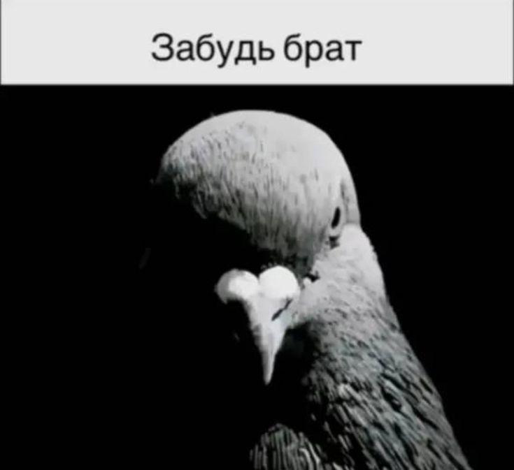 Кажется что это было ожидаемо Власти расторгли соглашение по модернизации трамвайной инфраструктуры Власти Ростова на Дону приняли решение о прекращении концессионного соглашения с компанией Синара ГТР Ростов на Дону по модернизации и создания трамвайной инфраструктуры в городе Это стало известно на рабочем совещании посвященном обсуждению проекта Стратегии развития транспортной отрасли до 2030 года Проект скоростного трамвая который начали разрабатывать в 2023 году предусматривал строительство двух новых маршрутов от Суворовского района до центра города и от Левенцовки до территории бывшего аэропорта В рамках соглашения планировалось закупить 76 современных трехсекционных трамваев и обновить существующий парк подвижного состава что должно было помочь разгрузить дороги от автомобильного потока Общая стоимость концессионного соглашения составила 61 млрд рублей Строительство трамвайной линии началось с участка от Левенцовского микрорайона до центра города однако в 2025 году работы были приостановлены На тот момент удалось проложить только 6 3 км путей от ул Жданова до ул Малиновского Сейчас этот участок остается заброшенным и кажется что останется на долго Дальнейшие шаги по организации движения трамваев в Левенцовке будут определяться с участием жителей города enter rostov