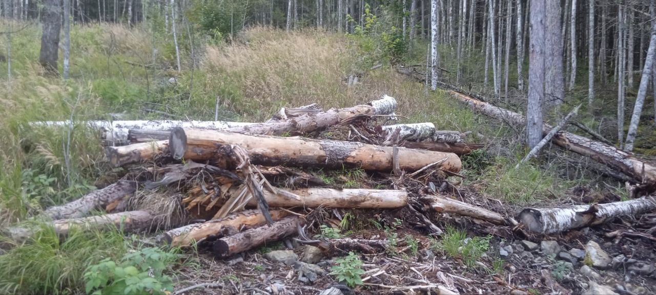 В Хабаровском крае по требованию прокуратуры лесопользователь привлечен к ответственности за нарушение правил пожарной безопасности Прокуратурой района имени Лазо проведена проверка исполнения лесоперерабатывающей организацией лесного законодательства Установлено что организация которая является арендатором лесных участков не обеспечила выполнение первичных мер пожарной безопасности в лесах В частности не организовала реконструкцию лесных дорог предназначенных для охраны лесов от пожаров  не установила и не разместила стенды и другие знаки и указатели содержащие информацию о мерах пожарной безопасности в лесах аншлагов  не благоустроила зоны отдыха граждан пребывающих в лесах  не установила шлагбаумы преграждающие устройства обеспечивающие ограничение пребывания граждан в лесах в целях обеспечения пожарной безопасности  не обеспечила прочистку и обновление противопожарных минерализованных полос       На основании выявленных нарушений прокурором района в отношении организации возбуждено 2 дела об административных правонарушениях предусмотренных ч 3 ст 8 32 КоАП РФ нарушение правил пожарной безопасности в лесах в условиях особого противопожарного режима       Министерством лесного хозяйства и лесопереработки Хабаровского края назначено наказание в виде штрафов на общую сумму 1 млн 200 тыс руб   Результаты устранения нарушений находятся на контроле прокуратуры