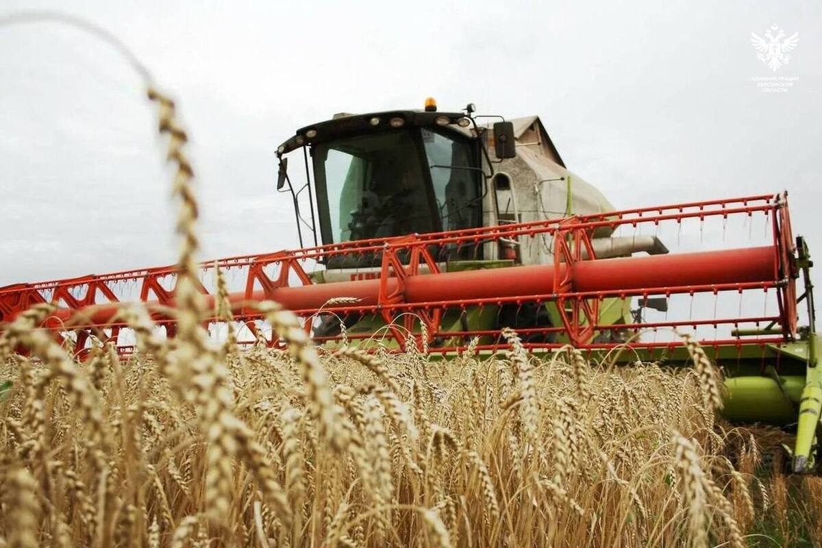 Аграрии Генического округа собрали более 80% урожая зернобобовых культур "Всего в округе было засеяно 73 240 гектаров, из них зерновые культуры — 37 200 гектаров, зернобобовые — 8 700 гектаров, масличные культуры — 17 500 гектаров", — сообщили в Генической администрации. Средняя урожайность зерновых культур в округе составила 18 ц/га, зернобобовых — 11 ц/га, масличных — 12 ц/га. ПОДПИСАТЬСЯ НА ТАВРИЮ