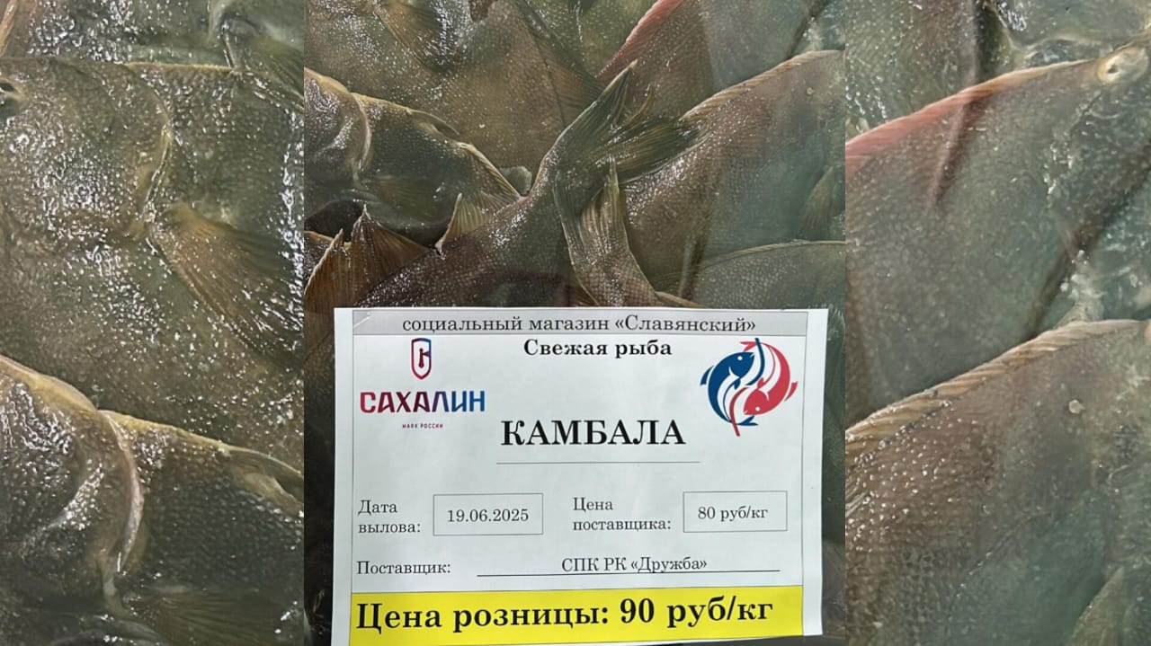 Результаты реализации программы «Доступная рыба» за первое полугодие 2025 года Предприятиями рыбохозяйственного комплекса Сахалинской области в рамках реализации программы «Доступная рыба», в части обеспечения свежей рыбой за первое полугодие 2025 года поставлено более 1157 тонн рыбы, что превышает показатель аналогичного периода предыдущего года в 1,3 раза. При этом жителям региона безвозмездно передано более 47 тонн качественной рыбопродукции, что на 20% выше показателя 2024 года 37,22 тонны . Популярностью у населения пользуется свежая рыба, реализуемая по доступным ценам. В настоящее министерством по рыболовству Сахалинской области совместно с администрациями муниципальных образований и рыбопромышленными предприятиями: ООО «Невод», ООО «Таранай», СПК РК «Дружба», ИП Хрянин И.В. организована поставка населению cвежевыловленной камбалы по привлекательной цене от 35 рублей за килограмм камбалы «шершавки» до 180 рублей за килограмм камбалы желтобрюхой разделанной без головы. С начала июня реализовано более 27 тонн свежей камбалы. Иван Радченко, министр по рыболовству Сахалинской области, рассказал: «Наша главная цель — предоставить качественный и доступный продукт для жителей региона. Благодаря совместной работе предприятий рыбохозяйственного комплекса, представителей торговли, администраций муниципальных образований население региона может приобрести свежую рыбу.». Программа «Доступная рыба» успешно реализуется в регионе по поручению Губернатора Валерия Лимаренко, направлена на обеспечение высокого уровня социального благополучия граждан региона. Узнать о местах реализации вы можете по средствам пуш-уведомлений в приложении «Острова 65», на интерактивной карте ГЕОИС, а также с помощью телеграм-каналов вашего муниципального образования или телеграм-канала «Доступная рыба».