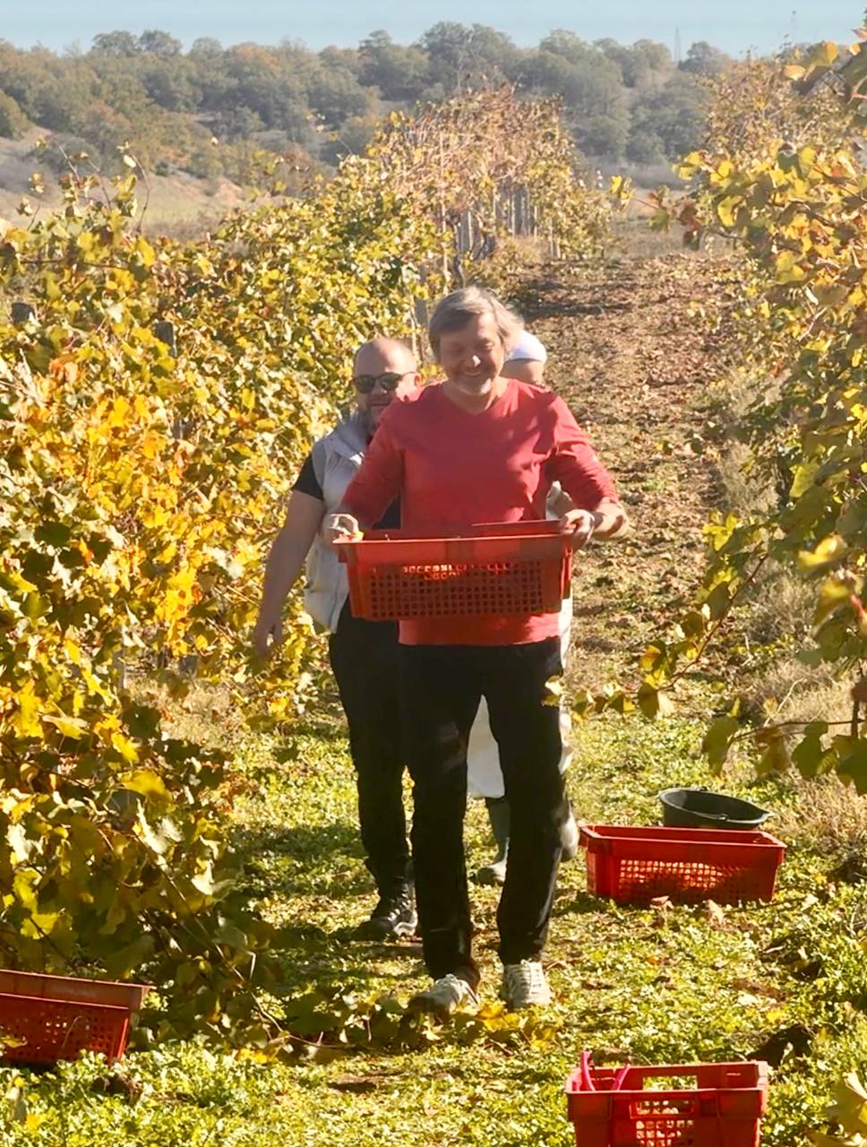 Накануне завтрашнего Российского винодельческого форума произошло то о чем так долго просили виноделы Ура Госдума приняла в первом чтении законопроект разрешающий строительство объектов предназначенных для сельского туризма на землях сельхозназначения и на участках принадлежащим винодельческим или виноградарским хозяйствам