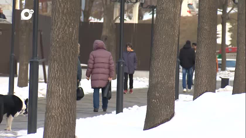 Рост цен на транспорт во Владимирской области и Владивостоке