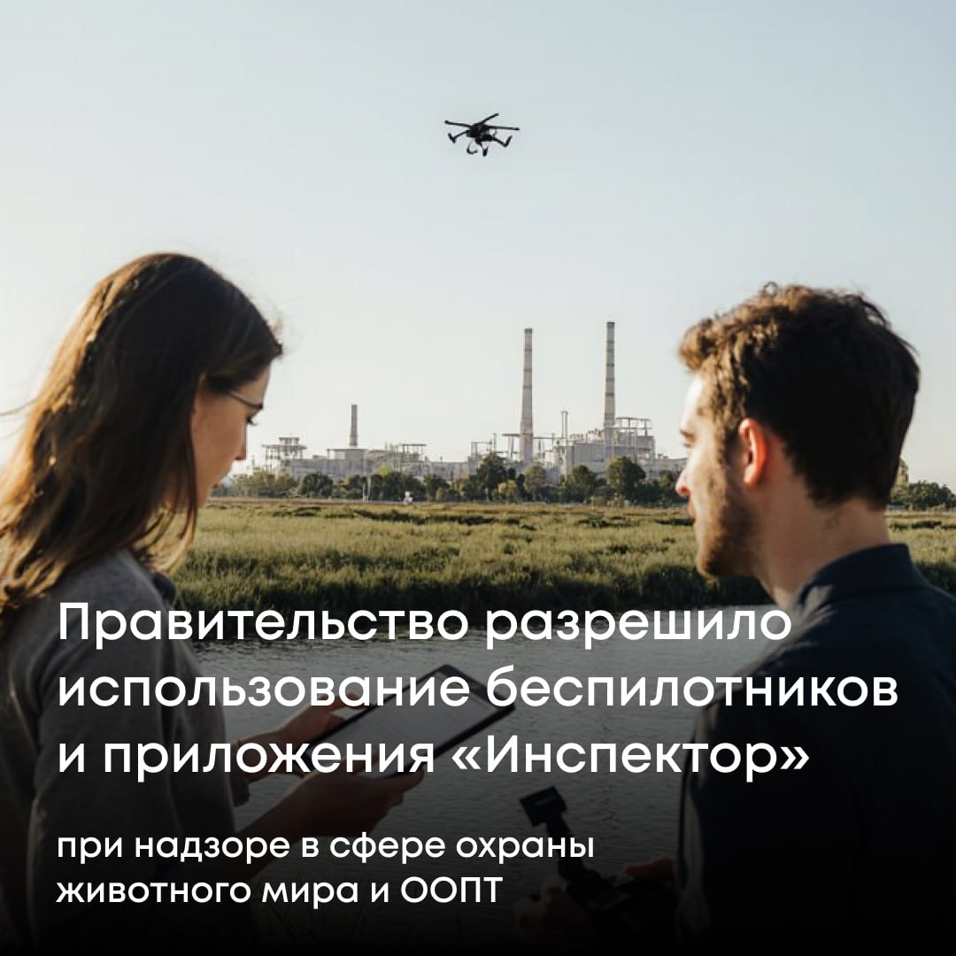 Обновленные правила государственного контроля в области охраны воспроизводства и использования объектов животного мира и среды их обитания закреплены постановлением Правительства РФ 1386 от 8 сентября Основные нововведения уточняются процедуры профилактических визитов их проведение по инициативе надзорных органов или контролируемых лиц с использованием дистанционных технологий включая вкс и мобильное приложение Инспектор разрешается использование технических средств в том числе беспилотных систем для фиксации нарушений уточняется периодичность плановых проверок в зависимости от уровня риска объектов расширяются возможности для подачи жалоб в том числе с помощью дистанционных средств с 20 до 15 дней сокращается срок рассмотрения жалобы она должна быть зарегистрирована в информационной системе досудебного обжалования устанавливается срок рассмотрения жалобы на решение об отнесении объектов контроля к соответствующей категории риска не более 5 рабочих дней Другим постановлением Правительства 1387 вносятся изменения в Положение о федеральном государственном контроле надзоре в области охраны и использования особо охраняемых природных территорий ООПТ Здесь также устанавливается возможность проведения профилактических и контрольных мероприятий с использованием вкс мобильного приложения Инспектор и других средств дистанционного взаимодействия С помощью мобильной платформы и беспилотных систем также можно будет проводить фото и видеосъемку и фиксацию нарушений при проведении проверок Цель изменений сделать контроль более современным прозрачным и менее затратным повысить оперативность реагирования и информированность поднадзорных через меры профилактики