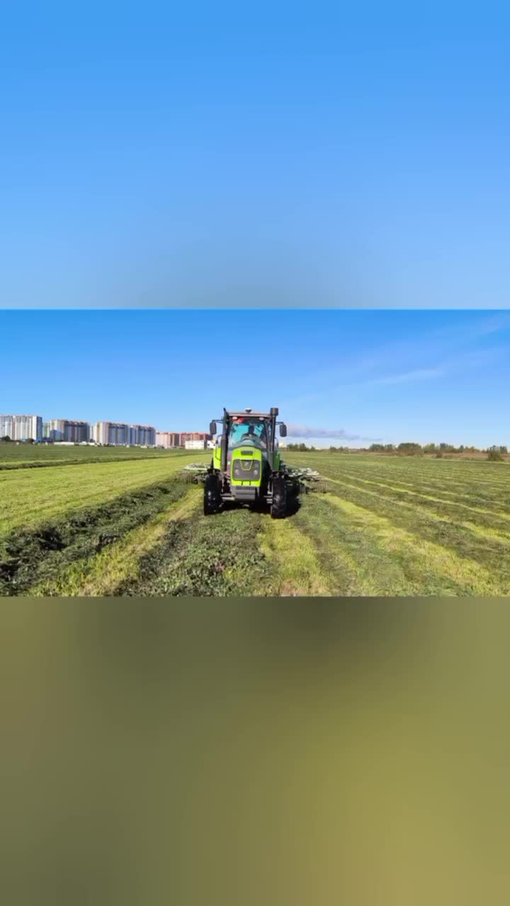 Волгоградские аграрии завершили заготовку сена и увеличили производство молока и яиц