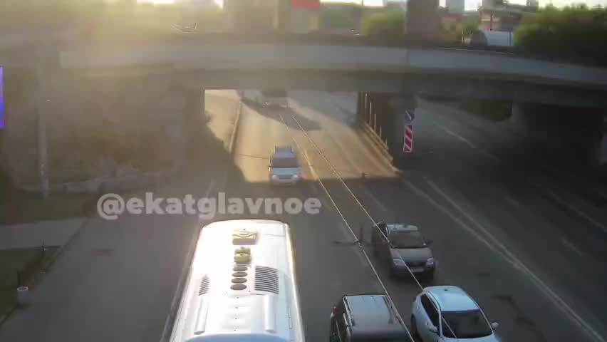 Лось сбит под мостом в Екатеринбурге