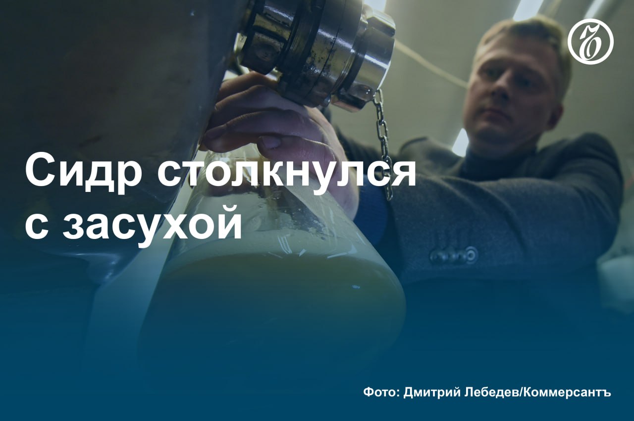 В июне производство сидра в России снизилось более чем на 11%, вопреки традиционному росту потребления этого напитка в жаркое время года. Внезапное падение связано в том числе с активными проверками регулятора, направленными на выведение с рынка напитков, выпускающихся под видом сидра, говорят опрошенные «Ъ» эксперты. На разворот тренда также могло повлиять ужесточение региональных ограничений на продажу алкоголя. #Ъузнал