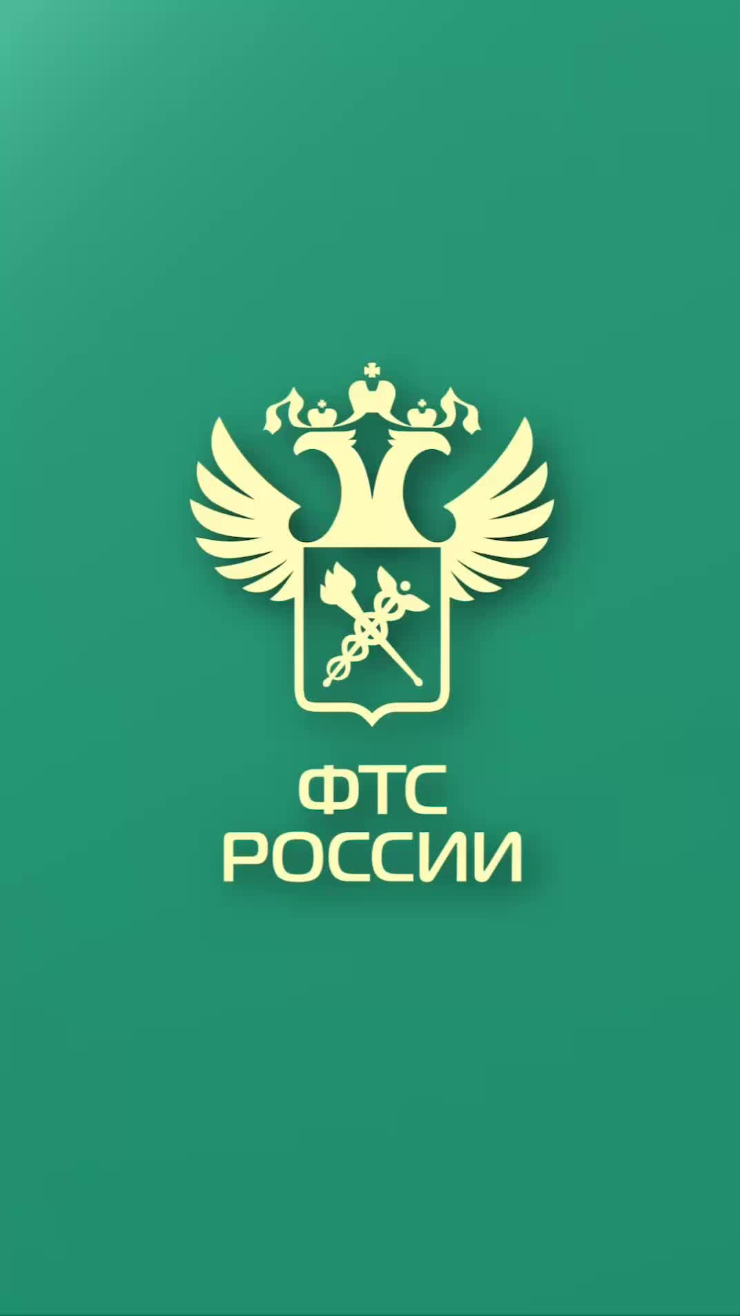 Таможенные платежи теперь доступны через Систему быстрых платежей