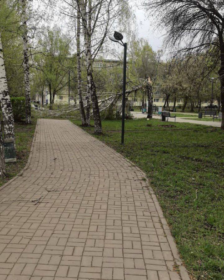 Мужчина погиб из-за рухнувшего на него дерева в Татарстане Трагедия произошла сегодня в поселке Прогресс Бугульминского района, где с самого утра бушует сильный ветер. Именно его порывы повалили дерево на землю, под которым шел мужчина. К несчастью, ствол рухнул прямо на него, и татарстанец скончался до приезда медиков. Напомним, что в Татарстане объявлено штормовое предупреждение. Завтра в республике ожидается сильный ветер порывами до 18 м/с. МЧС рекомендует не прятаться под рекламными щитами, дорожными знаками, деревьями и линиями электропередачи, а также отложить поездки за город. Будьте осторожны KazanFirst в бот