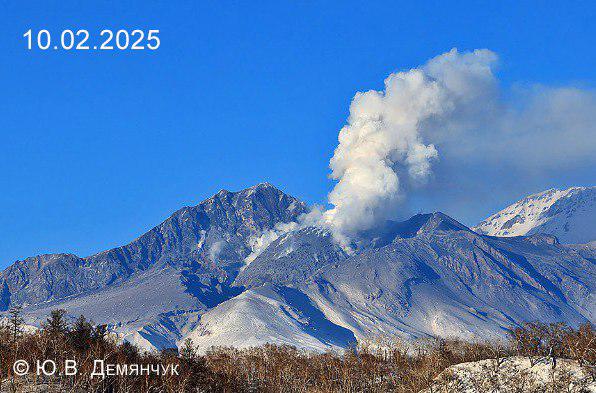 Шлейф опасного пепла поднялся над вулканом Шивелуч на Камчатке В 09 40 KST по камчатскому времени 00 40 мск ред шлейф ресуспендированного пепла сплошной полосой высотой до 3 километров над уровнем моря протянулся на 50 км на восток юго восток от вулкана Шивелуч проинформировали ученые в Telegram канале ivsfebras kvert Авиационный цветовой код для вулкана установлен на уровне Оранжевый Специалисты предупреждают что ресуспендированный пепел опасен для местных авиаперевозок   Ресуспендированный пепел это вулканический пепел который был вновь поднят в воздух после того как он изначально осел на землю Это может произойти из за ветра движущегося транспорта или просто при ходьбе по осевшей рыхлой пыли Такой пепел остается опасным для дыхания людей особенно астматиков экосистем животных и авиации Мы в MAX