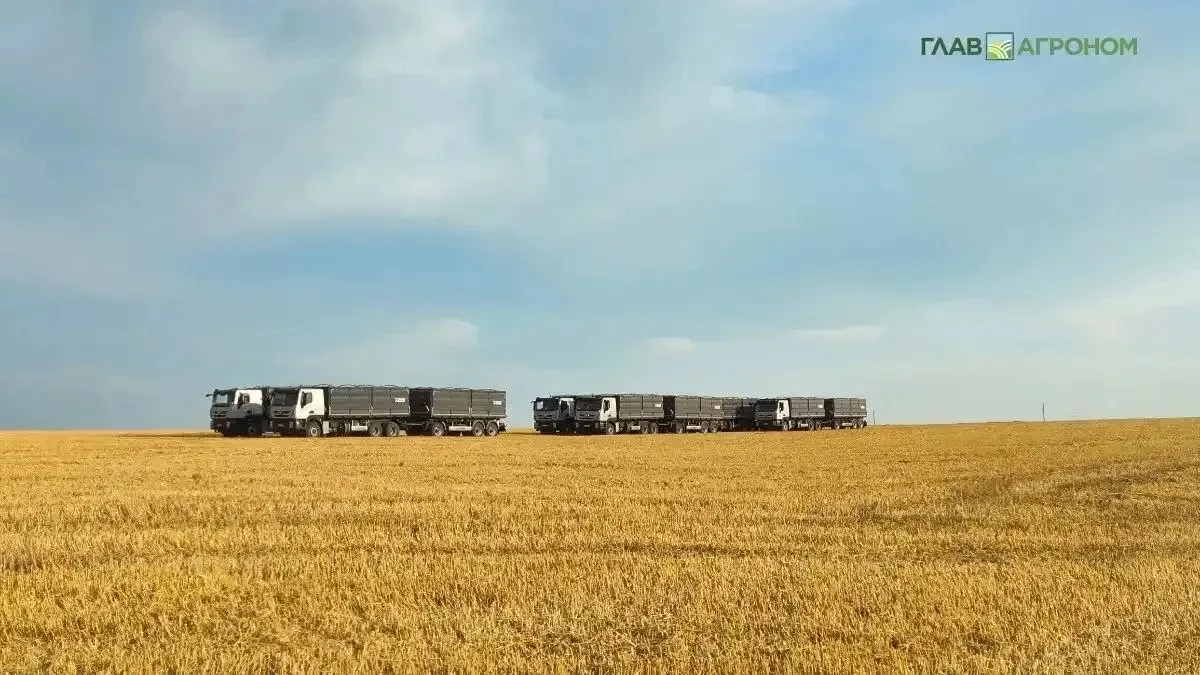 С начала года России нарастила экспорт зерновой продукции на 52 По данным ФГИС Аргус Фито на 3 апреля 2026 года экспорт зерна и продуктов его переработки составил свыше 17 8 млн тонн Это на 52 превышает показатель аналогичного периода 2025 года когда было отгружено 11 7 млн тонн Наращивание объемов произошло по всем видам продукции 63 зерновые культуры более 14 млн тонн 22 корма комбикорма и их компоненты до 1 8 млн тонн 33 масличные культуры почти 1 1 млн тонн 30 зернобобовые культуры порядка 637 6 тыс тонн и др В 2026 году выросли поставки на мировые рынки ︎ на 63 российской пшеницы до 11 2 млн тонн ︎ в 2 раза кукурузы почти 1 6 млн тонн ︎ на 33 ячменя до 1 1 млн тонн ︎ на 34 прочих жмыхов более 1 млн тонн Наблюдается рост отгрузок зерна из России ︎ в Турцию в 2 раза ︎ в Египет на 35 ︎ в Китай на 55 ︎ в Кению в 9 раз ︎ в Камерун на 83 ︎ и многократно в ЮАР