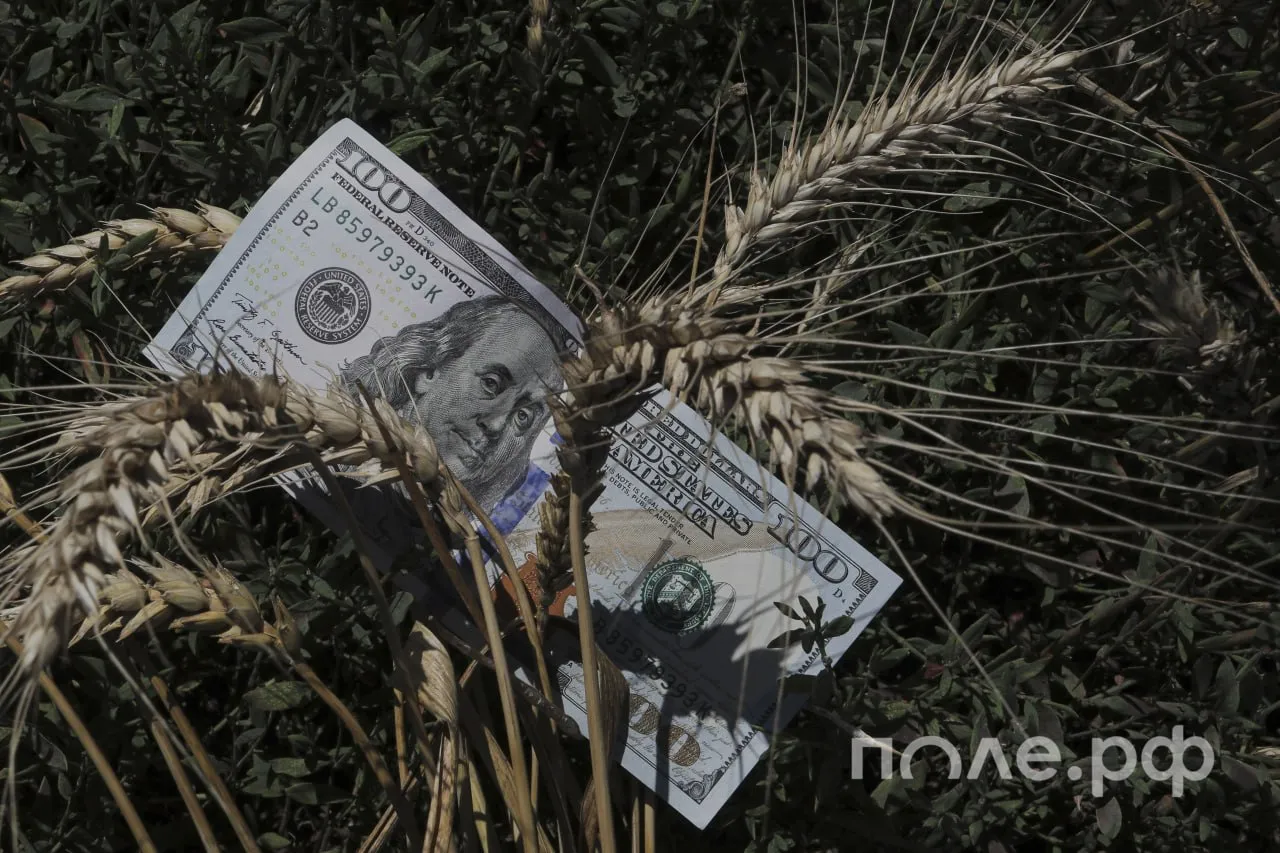 Товарооборот АПК России и Египта за I квартал вырос на 7 Египет является одним из ключевых партнеров России в аграрной сфере По итогам первого квартала текущего года объем взаимной торговли увеличился на 7 в том числе российский экспорт прибавил 5 сообщили в Минсельхозе по итогам переговоров Оксаны Лут с министрами Арабской Республики   Товарооборот по минеральным удобрениям вырос за год на 68 Оксана Лут подтвердила готовность наращивать поставки зерна в Египет который является основным импортером российской пшеницы Отдельное направление сотрудничество с агентством по устойчивому развитию Мустакбаль Миср Подробнее Мы пишем про роль России на мировых зерновых рынках Подписывайтесь