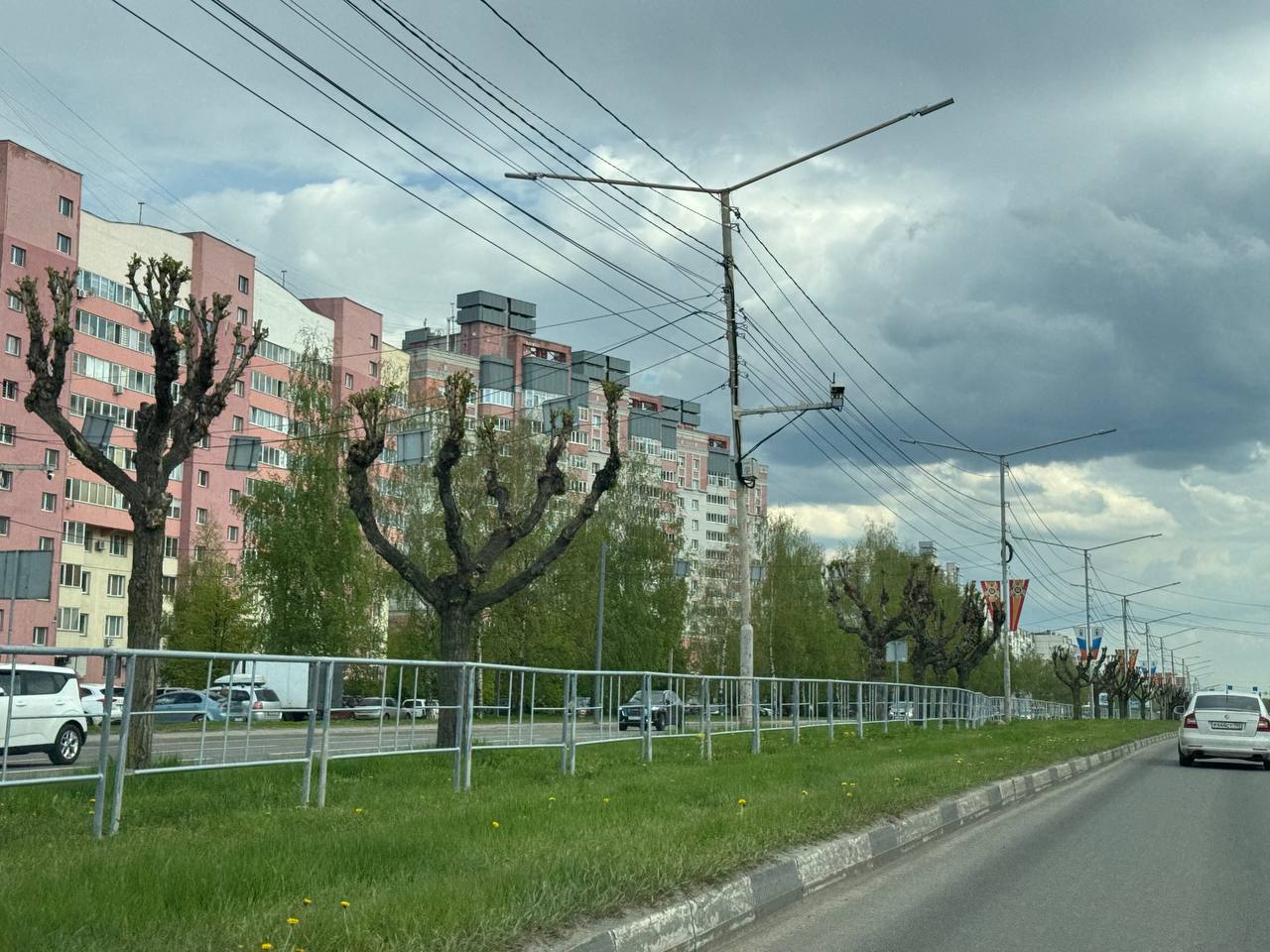 Проспект имени Трухлявого пня Фрунзе изуродовали. Зимой на разделительной зеленой полосе специалисты «Горзеленхозстроя» обрезали ветки деревьев. Чего категорически делать нельзя. Это даже «чайник» знает. Теперь это выглядит так… как в фильме ужасов. «Невероятная красота». Как же жалко наш город. А ведь когда-то он славился именно тем, что был зеленый...