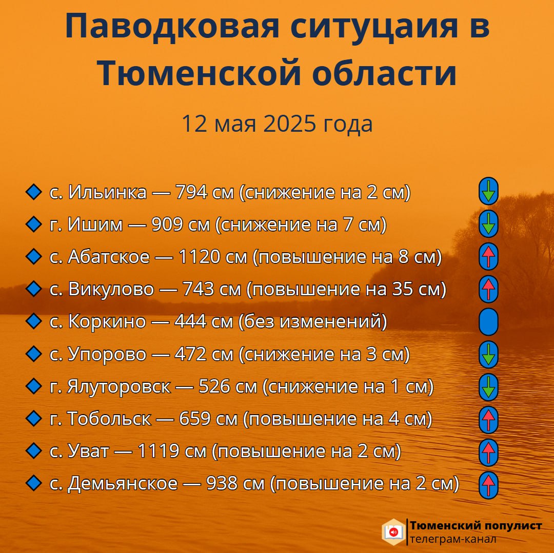 Паводковая ситуация в Тюменской области на 19 мая 2025 года По данным Тюменского ЦГМС, за последние сутки уровень воды продолжает расти в нескольких муниципалитетах: Викуловском и Уватском в селе Демьянское районах, а также в Тобольске. Небольшое снижение отмечается в Казанском село Ильинка , Абатском, Упоровском в сёлах Коркино и Упорово районах, а также в Ялуторовске и Ишиме. За последние сутки в Викуловском районе уровень воды в реке Ишим достиг «критической отметки». Рост воды наблюдается в сёлах Викулово +27 см и Балаганы +14 см . В результате паводка четыре населённых пункта оказались отрезаны водой, но тем не менее, жилые дома не подтоплены благодаря укреплениям. Для жителей, которые оказались отрезаны от «большой земли», заранее подготовили запасы продуктов, на местах дежурят пожарные машины. В Тюмени уровень воды в реке Тура за сутки подрос на 2 сантиметра.