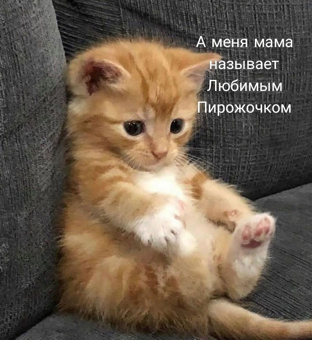 София и Михаил самые популярные имена в Свердловской области Помимо них в 2025 году девочек чаще всего называли Ева Анна Виктория и Мария а мальчиков Александр Артём Лев и Тимофей При этом Алесса и Мусъаб стали самыми редкими именами в области Также среди них Габриэль Стася Шаббона и Нонна для девочек а также Амур Уларбек Чынгыз и Эльмар для мальчиков Подписаться   Дать буст