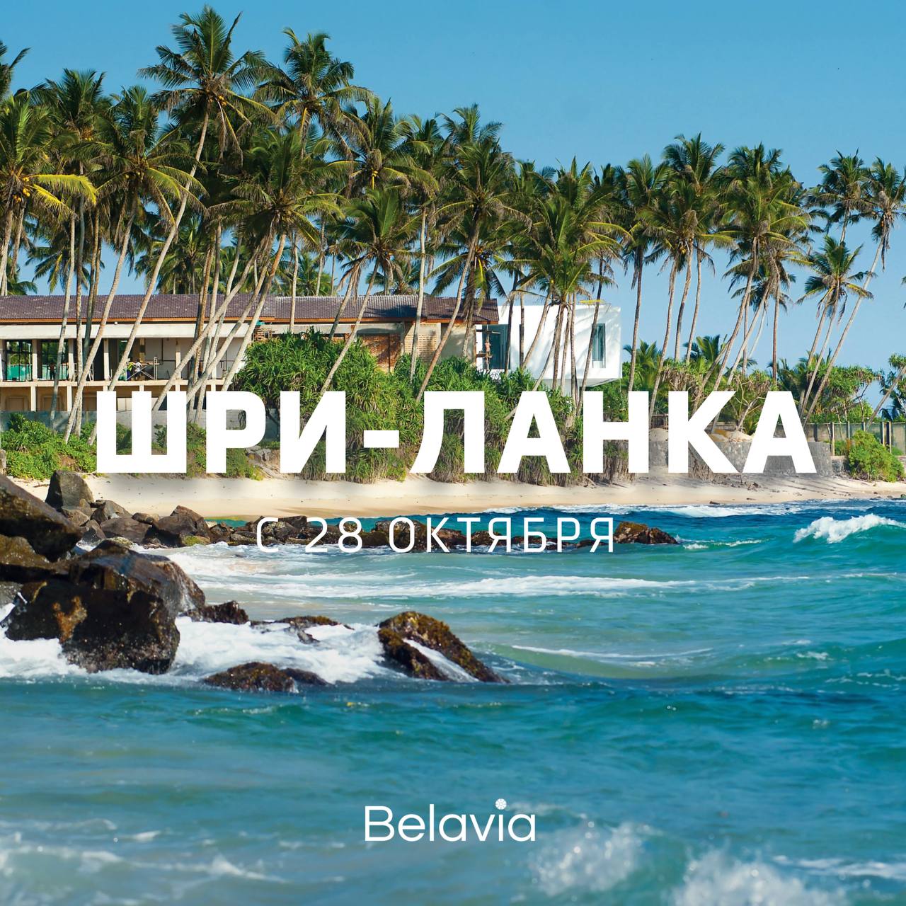 Новая страна на карте наших маршрутов Шри Ланка   С 28 октября Belavia начнет выполнять полетную программу Минск Маттала Международный аэропорт Маттала расположен в южной части острова Шри Ланка где тропическая красота начинается буквально сразу после посадки На острове находятся 8 объектов всемирного наследия ЮНЕСКО белоснежные пляжи джунгли и растет знаменитый цейлонский чай Рейсы каждый вторник на комфортабельном воздушном судне Airbus A330 200 Время в пути ориентировочно 9 5 часов Приобрести билеты на Шри Ланку можно у туристических операторов