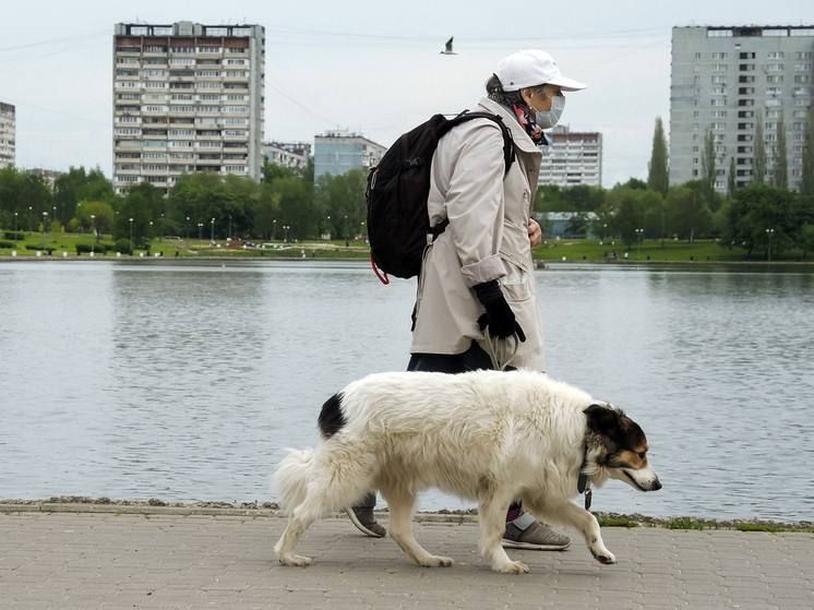 В Госдуме предложили поднять штрафы за самовыгул собак до 50 тысяч Сейчас размер наказания составляет всего 1 5 3 тысячи но этого недостаточно Об этом заявил депутат Владимир Бурматов По его словам к самовыгулу относится любая ситуация когда владелец не может контролировать питомца Подписаться КазанДА