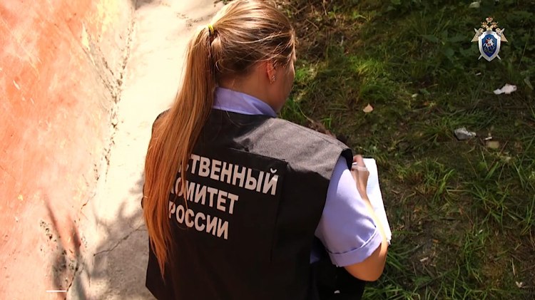 В Березниках несовершеннолетнюю мать осудили за убийство новорожденного ребенка   vesti perm ru publications 53120792 aa11 45cd bc42 8cfd8a0d8fc6 Березниковский городской суд вынес приговор по уголовному делу в отношении несовершеннолетней жительницы Судом установлено что 16 летняя девушка скрывая факт беременности от матери летом 2025 года в домашних условиях родила ребенка Сразу после родов она задушила новорожденного и выбросила труп ребенка с балкона пятого этажа многоквартирного дома Вину в совершении преступления подсудимая признала в полном объеме Суд назначил виновной наказание в виде 1 года ограничения свободы