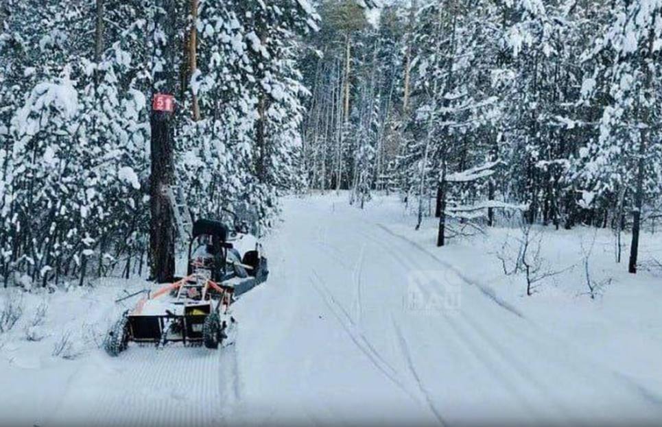 В Челябинске оборудовано шесть лыжных трасс Все маршруты приспособлены для классического и конькового стиля катания Среди них 2 5 километровая экотропа Две 5 километровые трассы в Парковом районе и в сосновом бору возле профилактория Изумруд 2 километровая трасса в Никольской роще Две трассы на Лыжной базе на улице Лесопарковая длиной 5 и 3 км