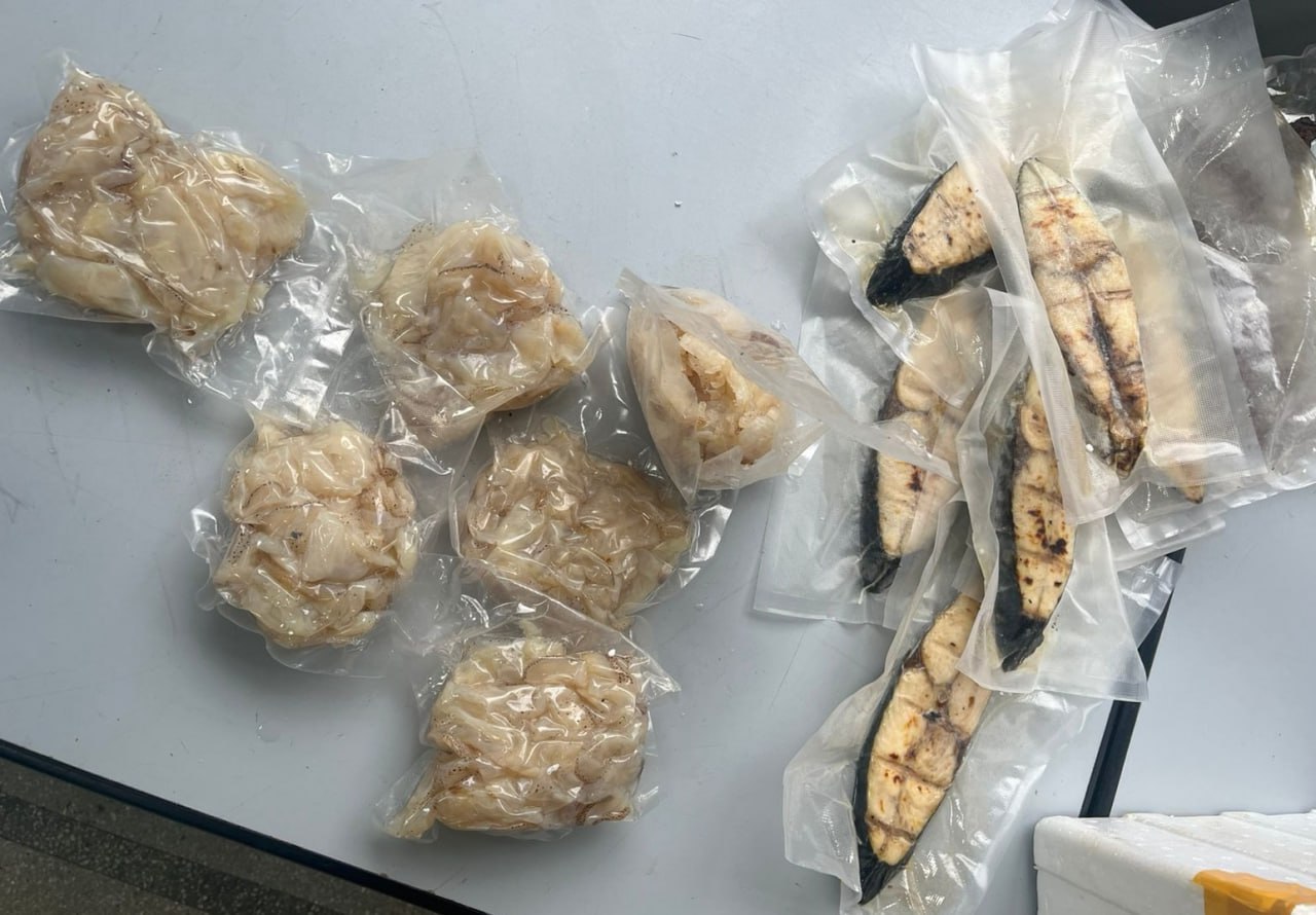 Три кило мяса медуз пытался ввезти в Иркутск пассажир из Вьетнама Необычный груз обнаружили у одного из пассажиров иркутского аэропорта прибывшего из Вьетнама Внимание таможенников на зеленом коридоре привлек объемный пенопластовый короб с которым в город прибыл иностранный гражданин Фото пресс службы Иркутской таможни irktoday