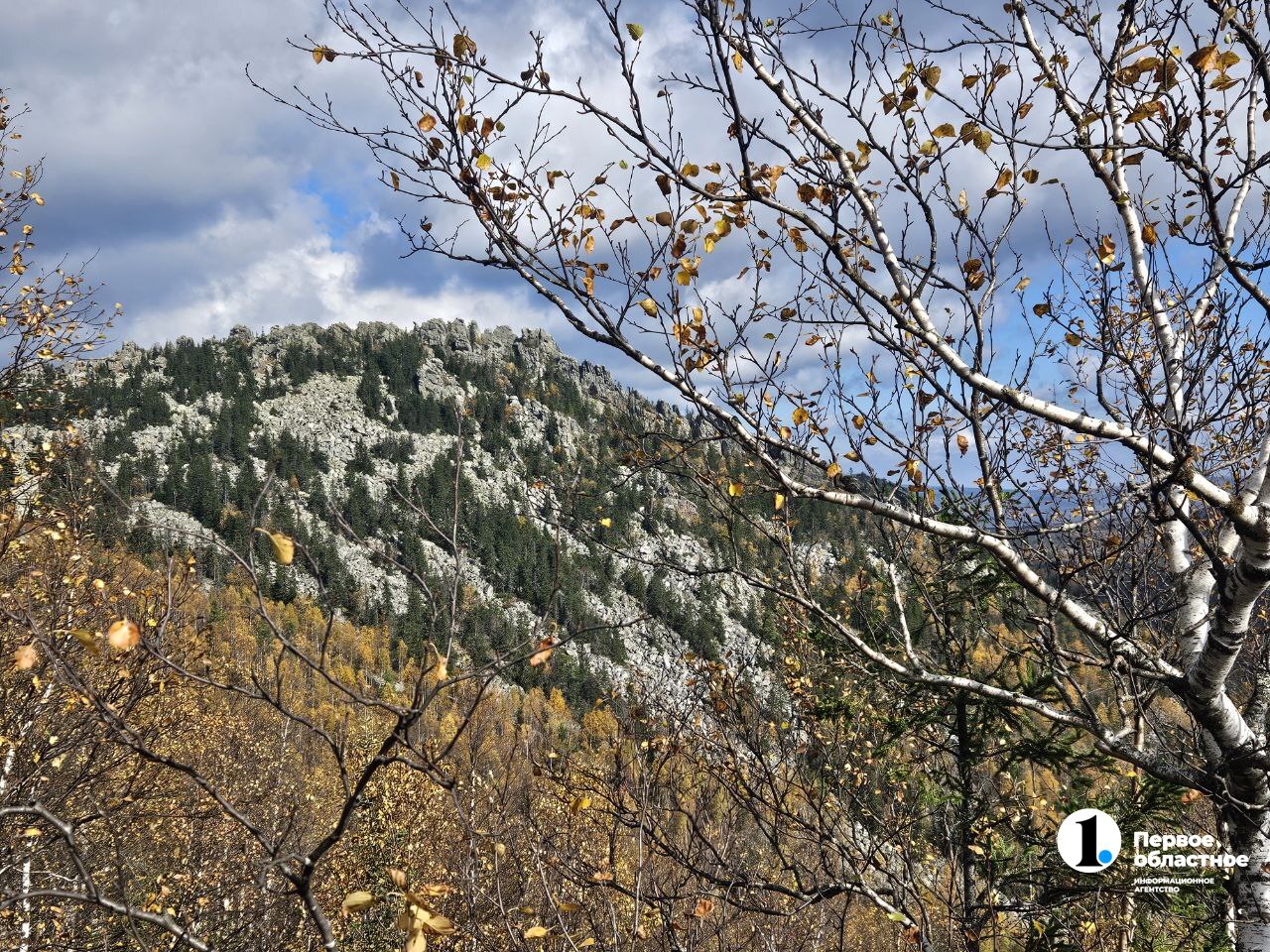 На Таганае достроили дорогу к экотропе на Черной скале Она была перекрыта несколько лет из за ремонта Его планировали завершить еще осенью 2022 го Длина экотропы на Черной скале 1 6 километра Она включает в себя три смотровые площадки с которых можно увидеть Большой Таганай Назменский и Урал Тау Подписаться Прислать новость Подпишись на МАХ
