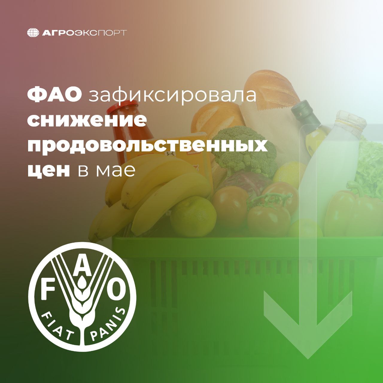 ФАО зафиксировала снижение продовольственных цен в мае Значение индекса мировых цен на продовольственные товары в мае составило 127,7 пункта, что на 0,8% ниже апрельского уровня, сообщила ФАО. Заметное снижение котировок кукурузы и пальмового масла перевесило исторически высокие цены на сливочное масло и говядину. Значение индекса цен на зерновые в прошлом месяце сократилось на 1,8% по сравнению с апрелем и на 8,2% относительно показателя мая 2024 года. «По итогам месяца зафиксировано резкое падение мировых цен на кукурузу, что объясняется активной конкуренцией и сезонным увеличением предложения в Аргентине и Бразилии, где уборка урожая идет опережающими темпами», – говорится в отчете ФАО. Цены на растительные масла снизились на 3,7% по сравнению с апрельским уровнем на фоне снижения котировок не только пальмового, но и рапсового, соевого, подсолнечного масел. Значение индекса цен на сахар уменьшилось на 2,6%, в то время как на мясо — увеличилось на 1,3%, на молочную продукцию — на 0,8%. FAO #агроэкспорт #новостиАПК