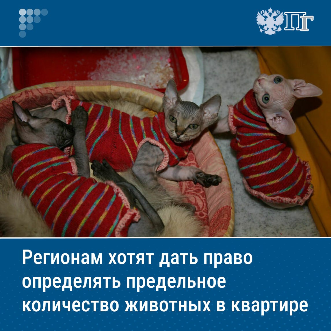 Член Комитета Совфеда по международным делам Александр Никитин и Тамбовская областная дума предложили внести поправки, позволяющие регионам самостоятельно определять предельное количество животных в квартире. Соответствующий законопроект был размешен 7 мая в официальной электронной базе Госдумы. «Считаем целесообразным наделить органы субъектов полномочием по определению предельного количества домашних животных в местах содержания животных исходя из возможности владельца обеспечивать животным условия, соответствующие ветеринарным нормам», — говорится в пояснительной записке. Подписаться на «Парламентскую газету»