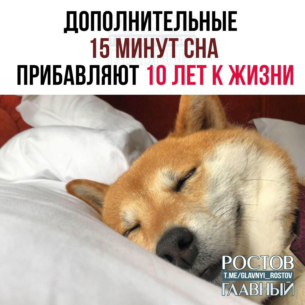 Дополнительные 15 минут сна прибавляют 10 лет к жизни учёные На протяжении восьми лет они анализировали данные 60 тысяч человек И пришли к выводу что лишние 15 минут сна 1 6 минуты спорта и полпорции овощей снижают риск смертности на 10 Бегом продлевать жизнь glavnyi rostov Присылайте ваши фото видео новости мне в лс glavnyi admin  РГ в МАХ