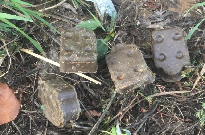 «Не трогайте!» Жителей Подмосковья призвали обходить стороной появившиеся в лесах предметы Вакцинация диких плотоядных животных будет проводиться на территории Московской области с 4 по 25 июня. Об этом информируют ветеринарные службы региона, в том, числе, по округу Чехов. Как уточняется, в целях профилактики бешенства на территории муниципального округа Чехов, специалисты будут раскладывать специальные съедобные брикеты с вакциной на территории лесных угодий, а также разбрасывать их с небольших самолётов. «Вакцина вызывает формирование иммунитета к вирусу бешенства и лечебными свойствами не обладает. Несмотря на то, что вакцина безвредна, «Станция по борьбе с болезнями животных» не рекомендует трогать и тем более подбирать брикеты в случае их обнаружения!», – призывают специалисты.