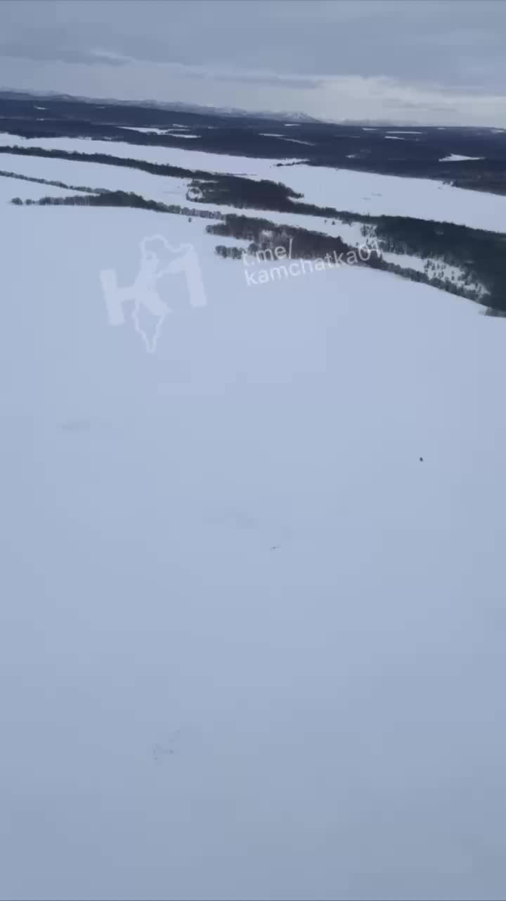 Аномальная зима влияет на поведение диких животных в заповеднике Шульган Таш