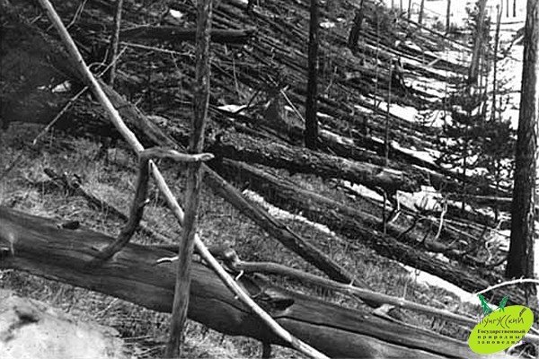 К месту падения Тунгусского метеорита проложат экотропу для туристов к 120 летию феномена В заповеднике Тунгусский в Красноярском крае планируют создать экологическую тропу для туристов к месту падения Тунгусского метеорита Открыть маршрут рассчитывают к 2028 году к 120 летию Тунгусского феномена сообщила ТАСС директор заповедника Людмила Логунова Мы планируем впервые создать уникальную экологическую тропу под условным названием Тропа Кулика путешествие к Тунгусскому метеориту в честь ученого минералога Леонида Кулика Это будет обустроенная по всем нормативам тропа к эпицентру падения где был вал деревьев рассказала Логунова По ее словам туристов будут доставлять к началу маршрута по реке На самой тропе предполагается оборудовать стоянки и зоны отдыха а также нанести навигационную маркировку Проект рассчитан на то чтобы сделать посещение труднодоступного места безопасным и организованным Рассчитываем сделать все к 120 летию со дня падения уточнила директор заповедника Создание маршрута должно повысить туристическую привлекательность территории и одновременно снизить нагрузку на экосистему за счет контролируемого потока посетителей Сейчас попасть к предполагаемому эпицентру взрыва можно только в составе экспедиций и при хорошей физической подготовке Заповедник Тунгусский расположен в Эвенкийском муниципальном районе Красноярского края рядом с местом падения метеорита На его территории обитают около 145 видов птиц а также редкие и охраняемые виды животных и растений Тунгусский метеорит одно из самых загадочных событий XX века В июне 1908 года над сибирской тайгой в районе реки Подкаменной Тунгуски произошел мощный взрыв который повалил деревья на площади в десятки километров Фрагменты космического тела так и не были обнаружены что до сих пор остается предметом научных споров и исследований