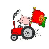 Аватар Телеграм канала: Португалия. Пора валить 🇵🇹